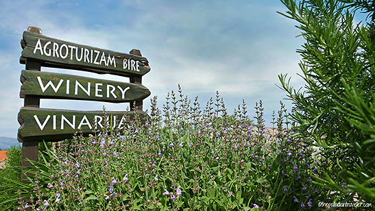 road sign pointing to Frano Milina's Bire Winery
