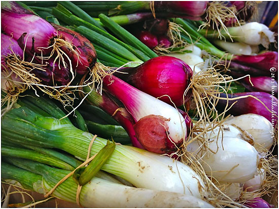 spring onions at an open air market, Libourne