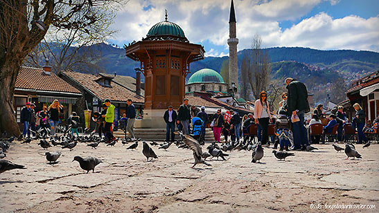 the Sebij in the middle of Pigeon Square, Old Town Sarajevo