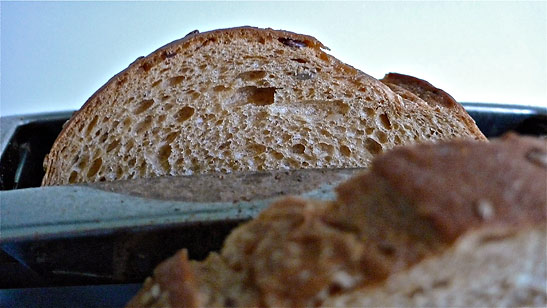 Italian rustic bread in pop-up toaster