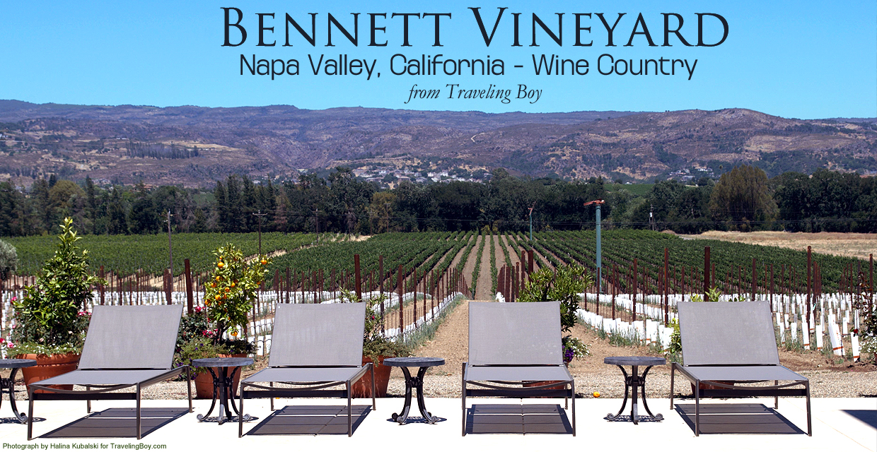 Welcome to Traveling Boy