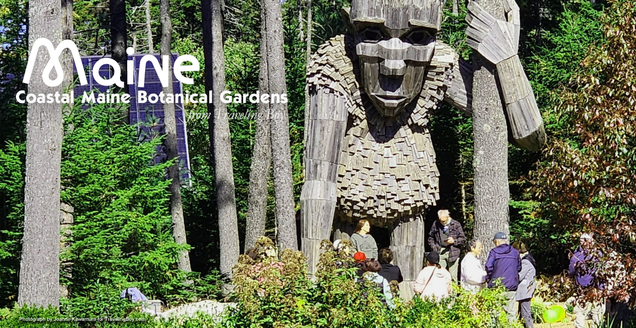 Welcome to Traveling Boy