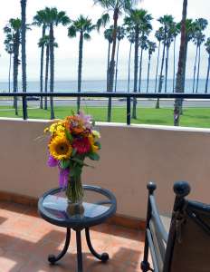 coastal view from Fess Parker