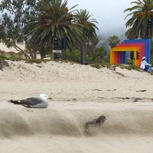 beach in Santa Barbara near Fess Parker