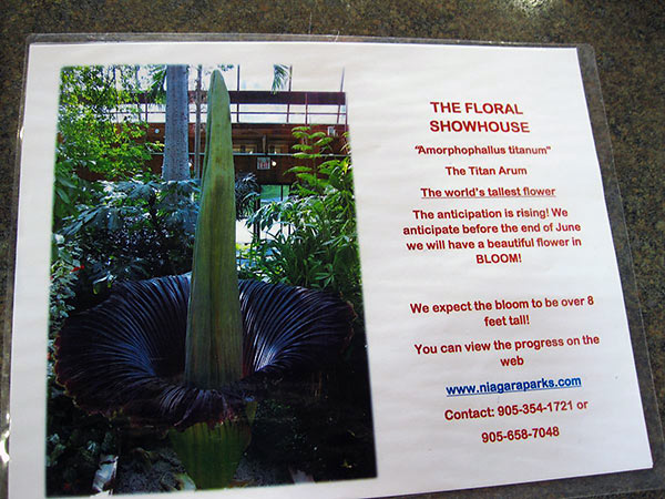 sign at the Floral Showhouse