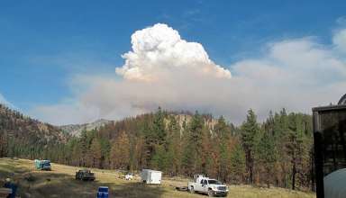 a pyrocumulus (or fire cloud) forms above the Little Queens fire