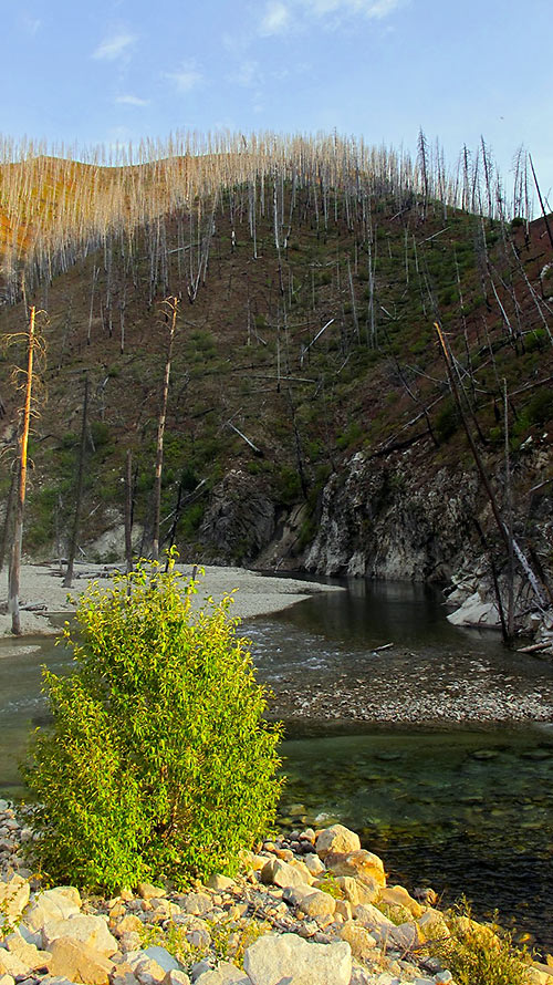 gravel road to Atlanta running along the Middle Fork Boise River
