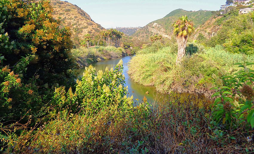 flowing creek beside The Ranch