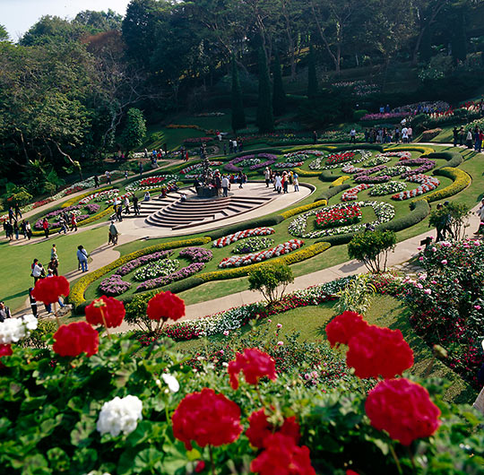 the Mae Fah Luang Garden