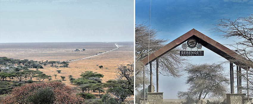 the Serengeti