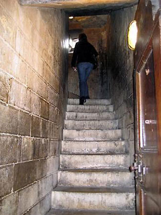 climbing up the steps to the terrace of the Duomo di Milano