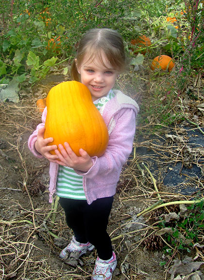 3-year old girl carries off her Halloween pumpkin at Walter's Fruit Ranch