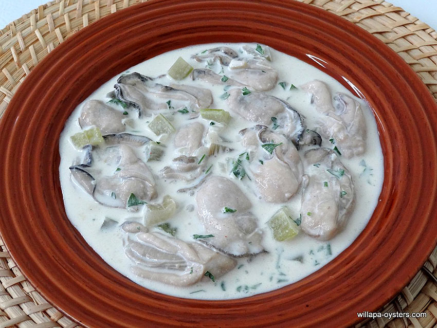 New England oyster stew