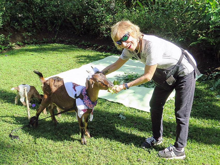 Betty the goat with the writer