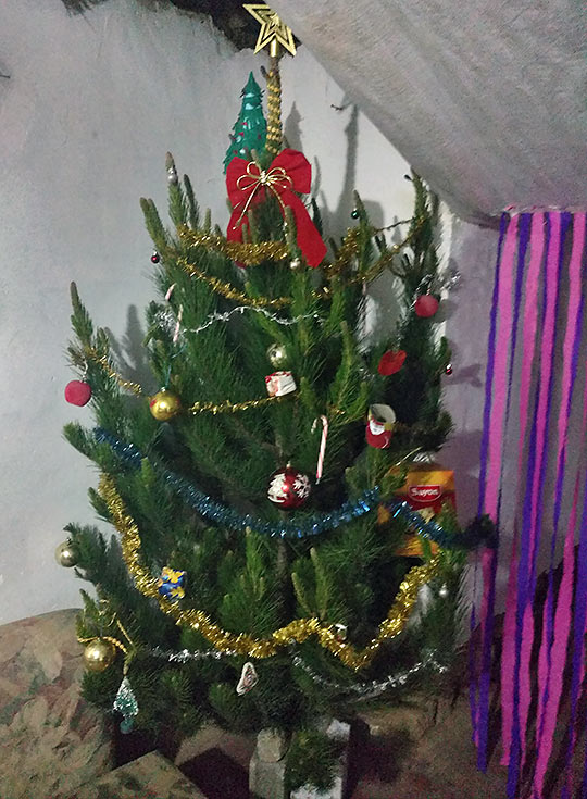 host family's Christmas tree