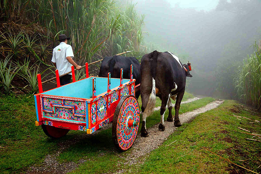 Costa Rica rural scene