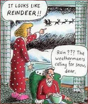 Reindeer or Rain Dear?