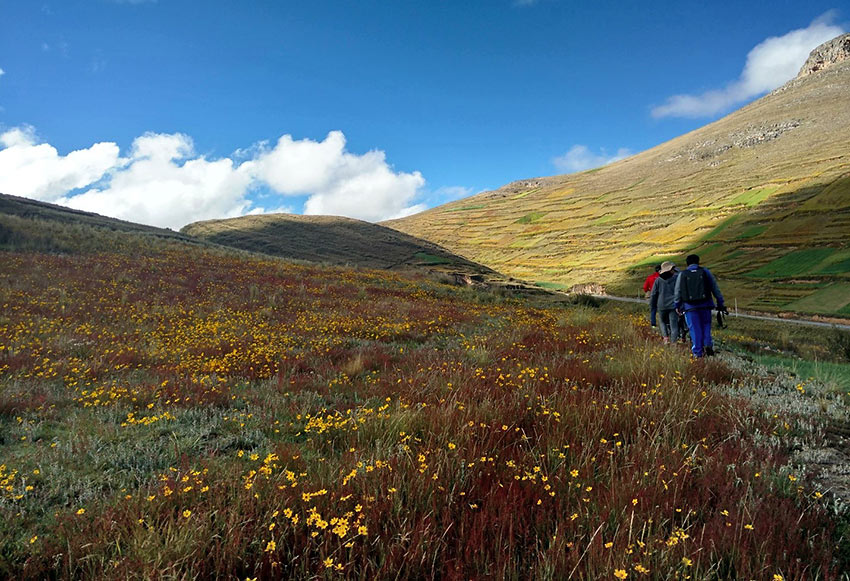 hiking the hills overlooking Huaricolca