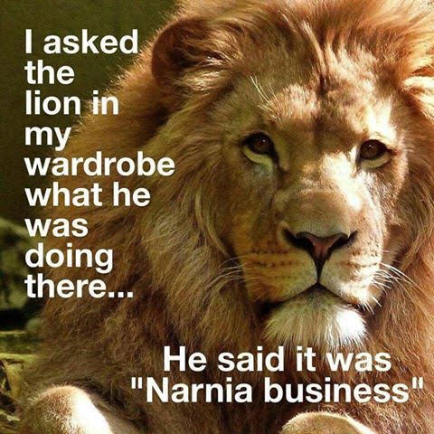 Narnia Business