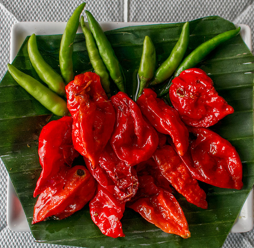 Bhut Jolokia or Ghost Peppers