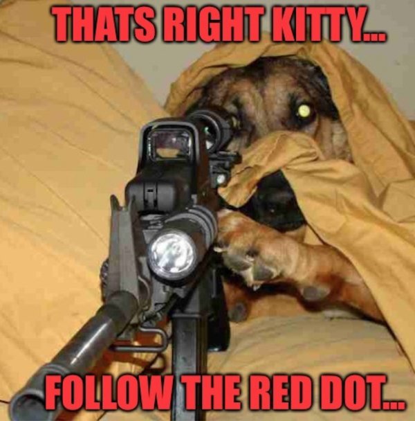 Parting Shot: Follow the Red Dot