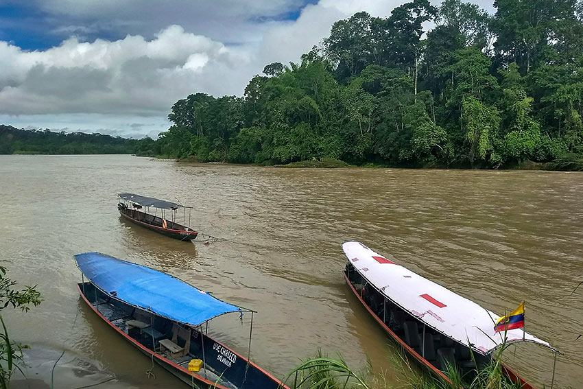 jungle and river, Ecuador