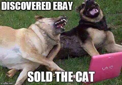 discovered Ebay, sold the cat