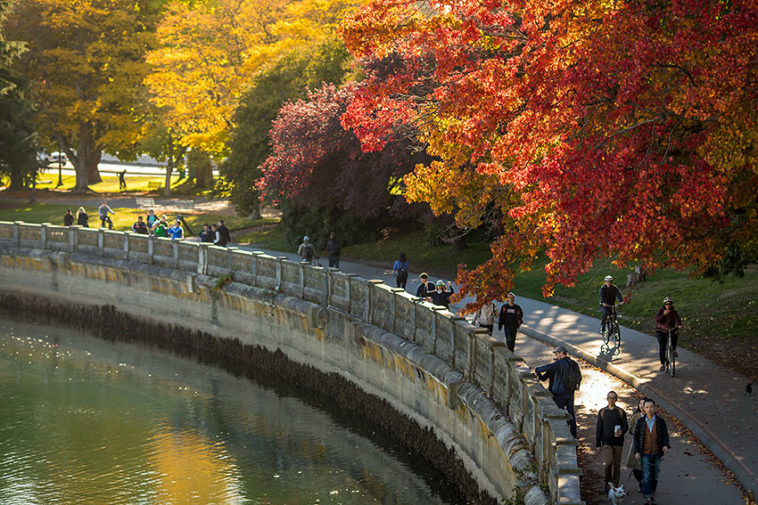 fall colors at Stanley Park Seawall, Vancouver