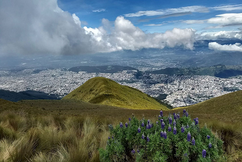 view of Quito from the base of Pichincha Volcano