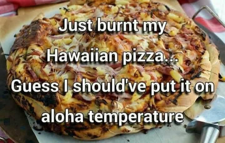 Don's Puns: Aloha Temperature