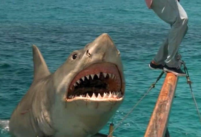 a scene from Jaws IV