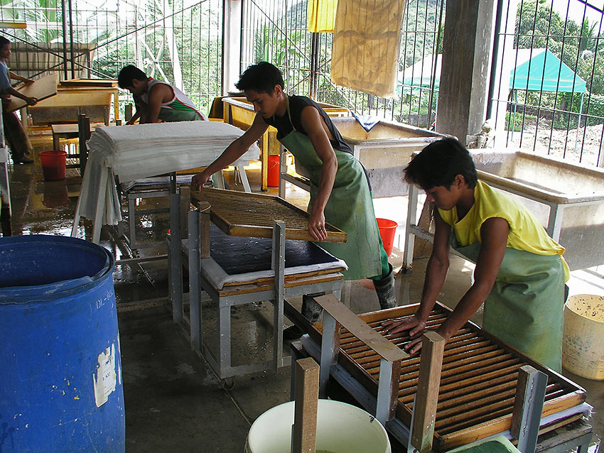 preparing paper products from abaca or from banana plant fibers