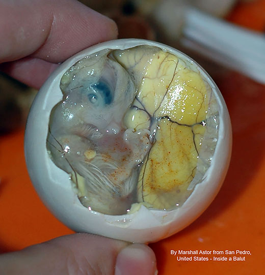 dissected balut from the Philippines