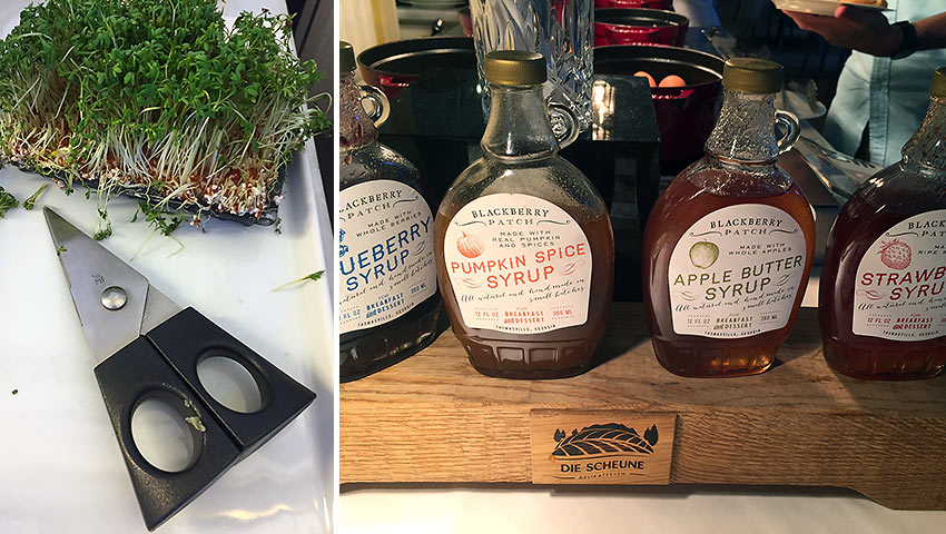 herb sprouts with scissors and different bottles of pancake syrup