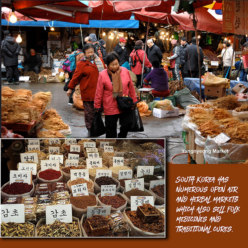 Korean herbal markets