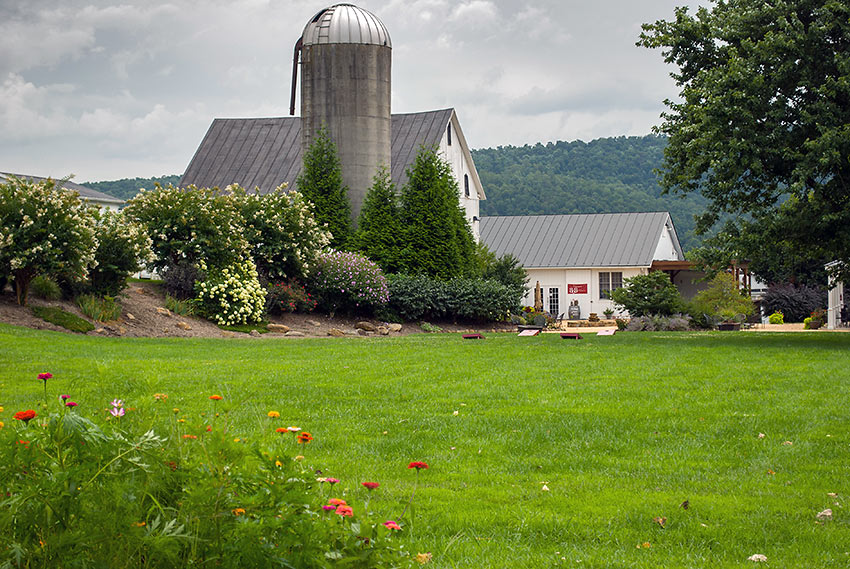 868 Estate Vineyards