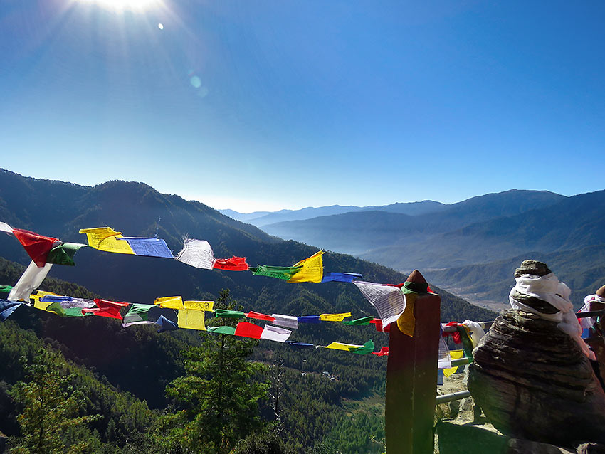 view of a Bhutan forest