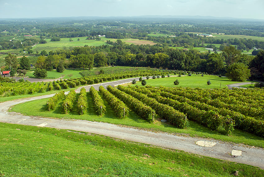 aerial view of Bluemont Vineyard with Loudoun Valley in the back ground