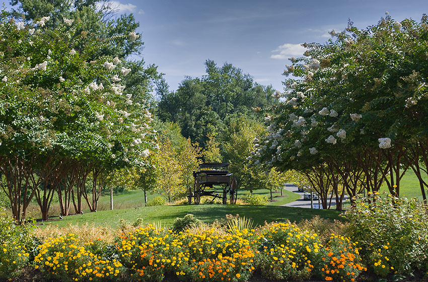 internationally recognized Loudoun County horse country