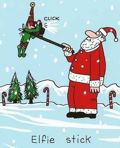 Don's Puns: Elfie Stick