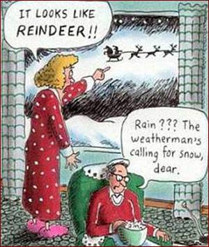 Don's Puns: Rain Dear