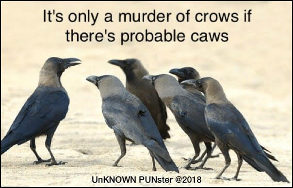 Don's Puns: Caws