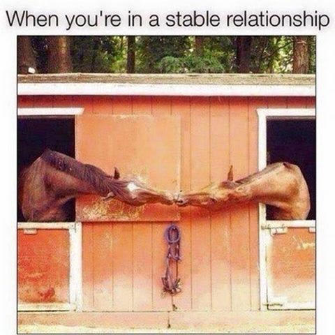 Don' Puns: Stable Relationship