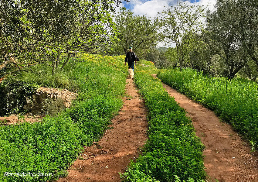 Bob Van and Orsino negotiating a trail