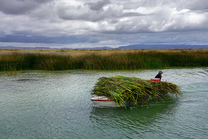 boat carrying reeds for island homes, Lake Titicaca, Peru