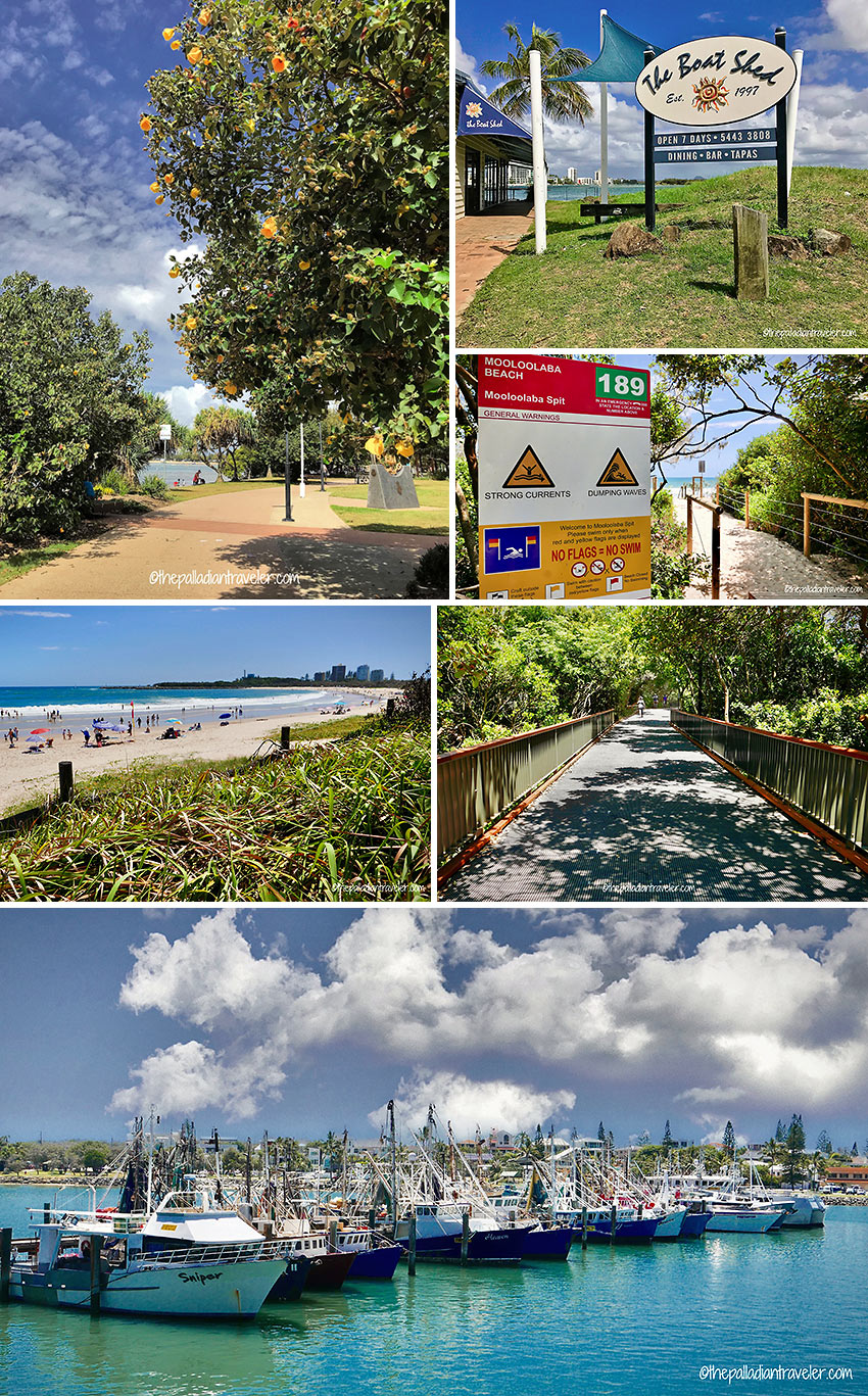 Cotton Tree Park, the Boat Shed, Mooloolaba Beach, Alexandra Headland and port