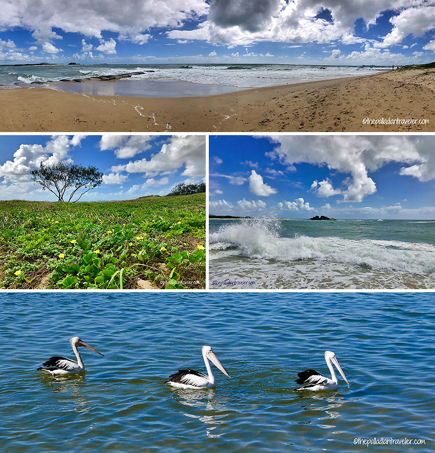 beaches and Pelican Waters, Queensland’s Sunshine Coast