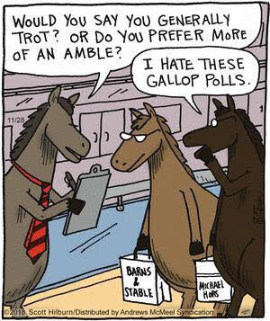 Don's Puns: Gallop Polls