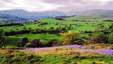 Lake District countryside