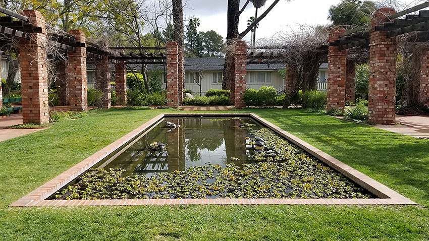 lily pond with turtles, Belmond El Encanto